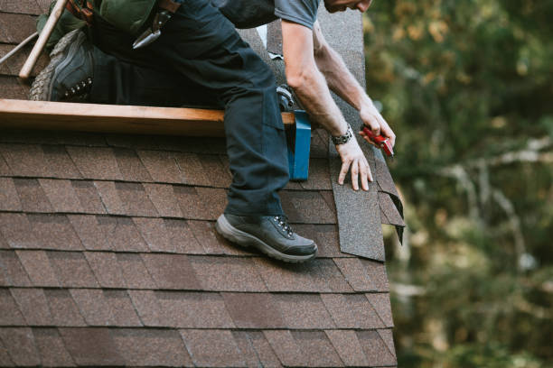 Best Roof Maintenance Services  in Wendell, ID
